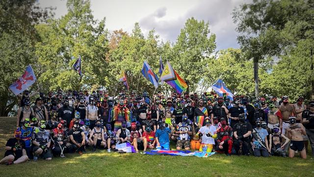 A large number of puppies wearing colorful outfits holding multiple puppy and pride flags in a park in Hamburg
