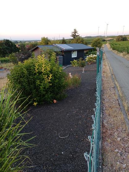 Ein Schrebergarten mit Gartenhütte. Der größte Teil des Gartens besteht aus schwarzem Schotter mit vereinzelt stehenden Büschen und Kitschfiguren.