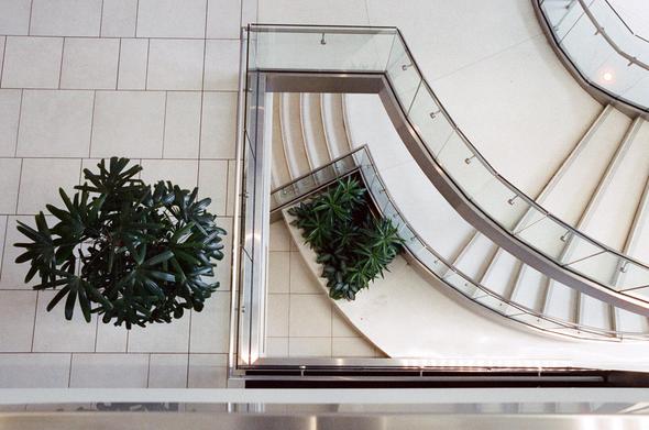 Chelsea Breaux
@Darkroominations@pixelfed.social
Mar 12
More of the Lloyd Center
Taken with Cinestill 800t pushed to 1600, then warmed up in post processing.
#lloydcenter #lloydcenterpdx #portland #portlandor #pdx #stairs #architecture #film #filmphotography #analogphotography #filmisnotdead #filmphotographylovers #staircase #cinestill #cinestill800t