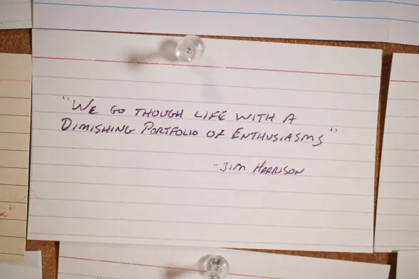 We go through life with a diminishing portfolio of enthusiasms