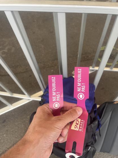 Two SNCF luggage labels. Compulsory in France but nowhere else