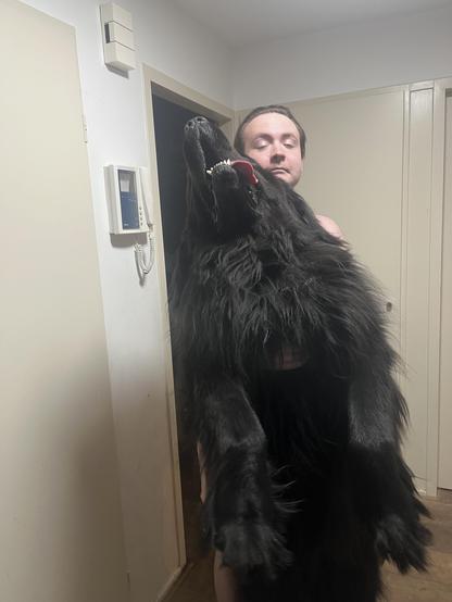 Odin the Newfie looking like an Enderman after my husband peeled him off me