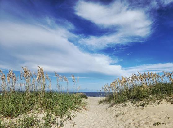 Beach access point in Avon, NC (Hatteras Island) seen from the dune. A pathway in the dune cuts the image in half and a sliver of deep blue ocean can be seen above the sand. The reeds stand tall on the dune and are blowing slightly left in the wind. The sky is a mix of cotton candy clouds and bright blue.
