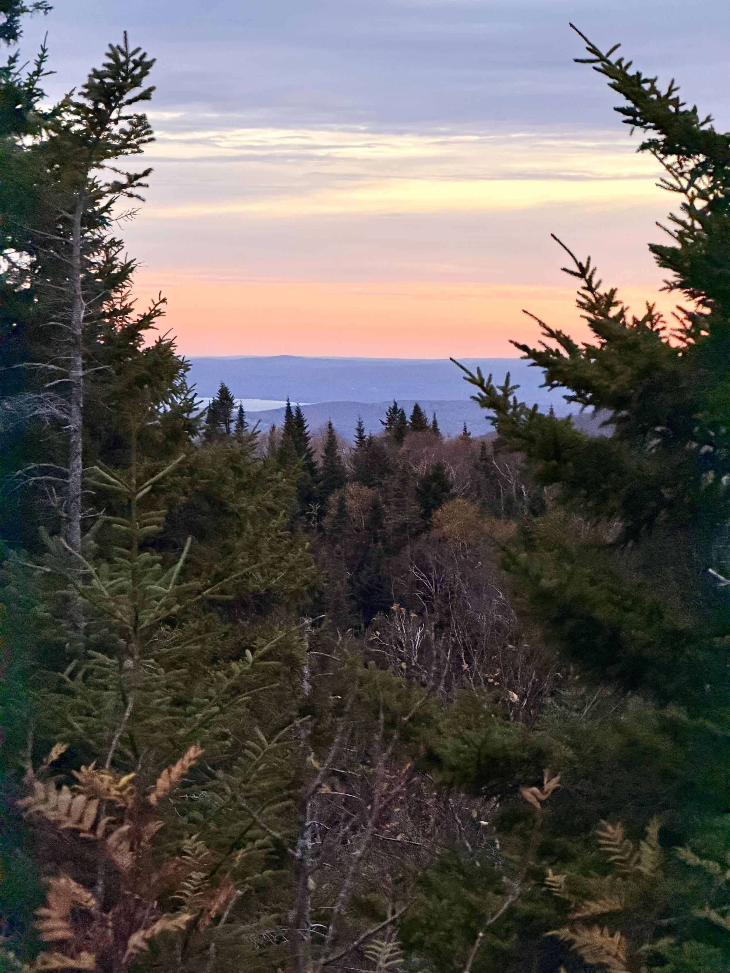 Un lever de soleil depuis un sommet avec des arbres 🌲
