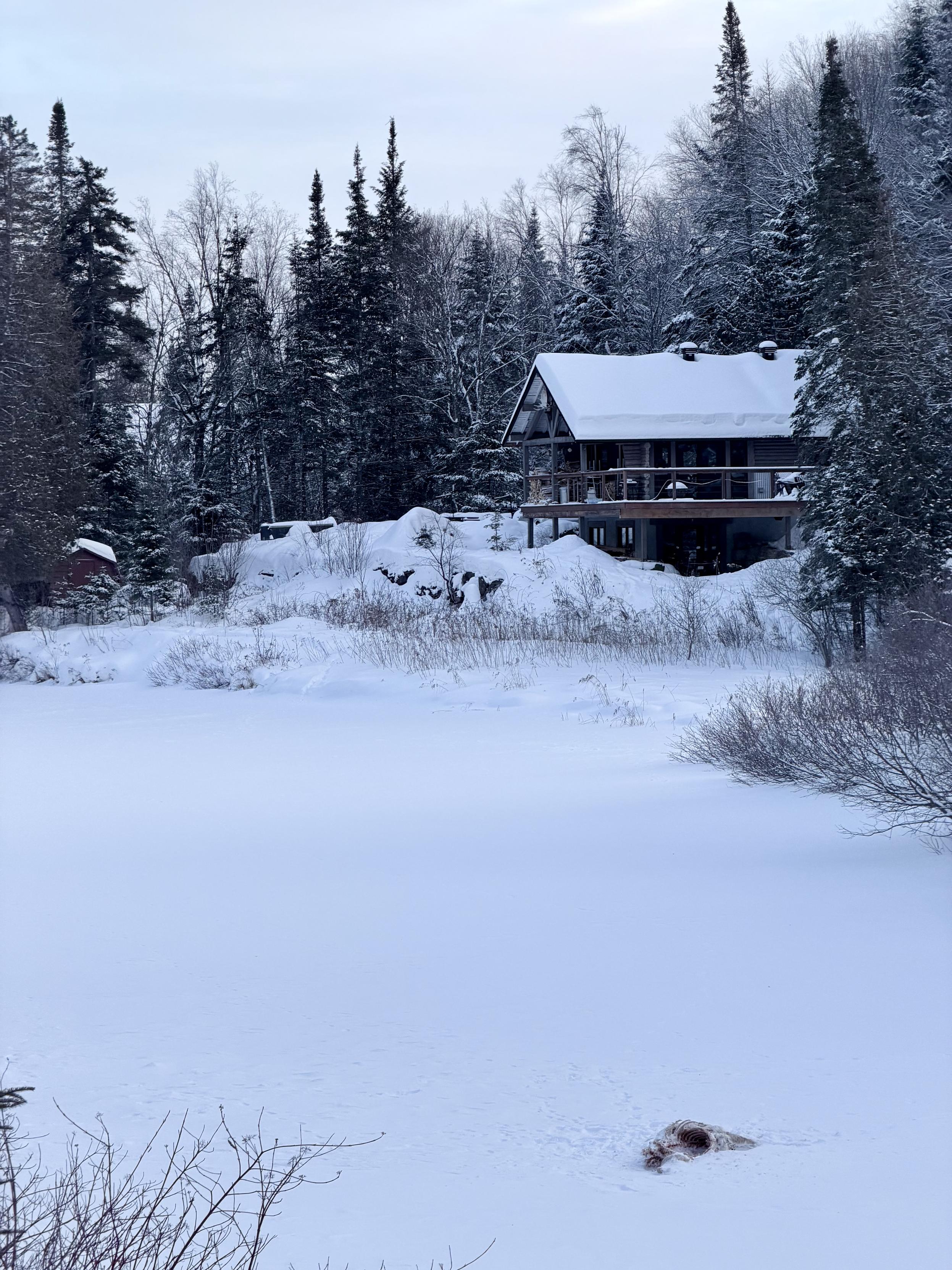 Un chalet enneigé dans la forêt en arrière plan avec la rivière gelée au premier plan sur laquelle réside le mystère en question (spoiler : la carcasse de biche de l’autre fois dont il ne reste que quelques os bien propres).