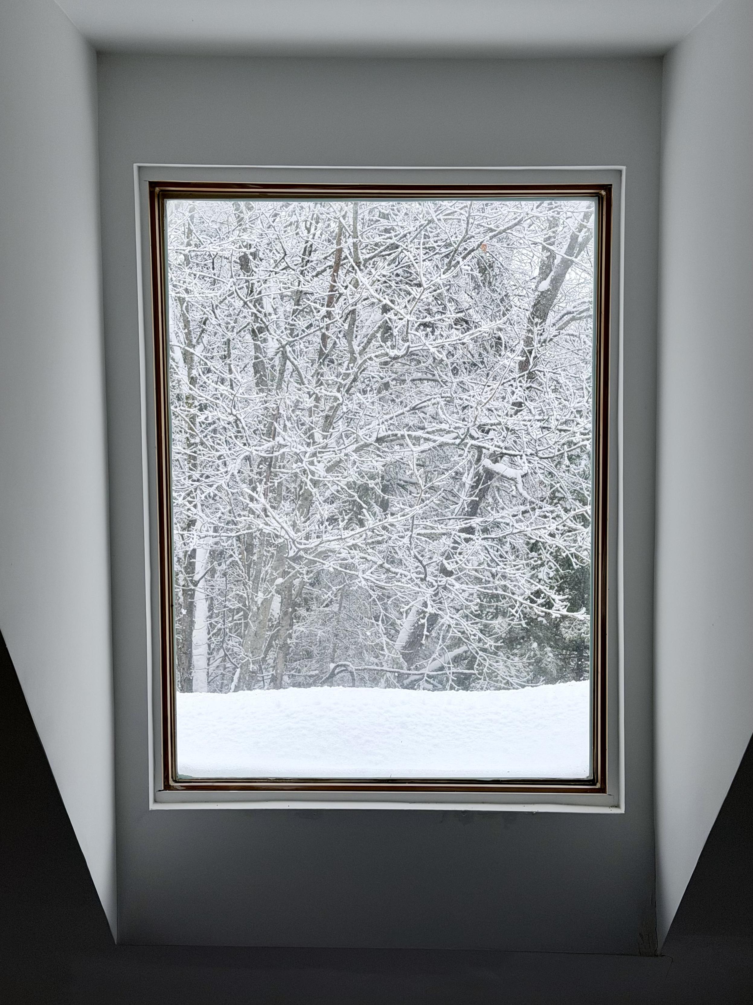 Vue par une fenêtre de la forêt enneigée, il y a de la neige sur le rebord et on voit le cadre de la fenêtre.