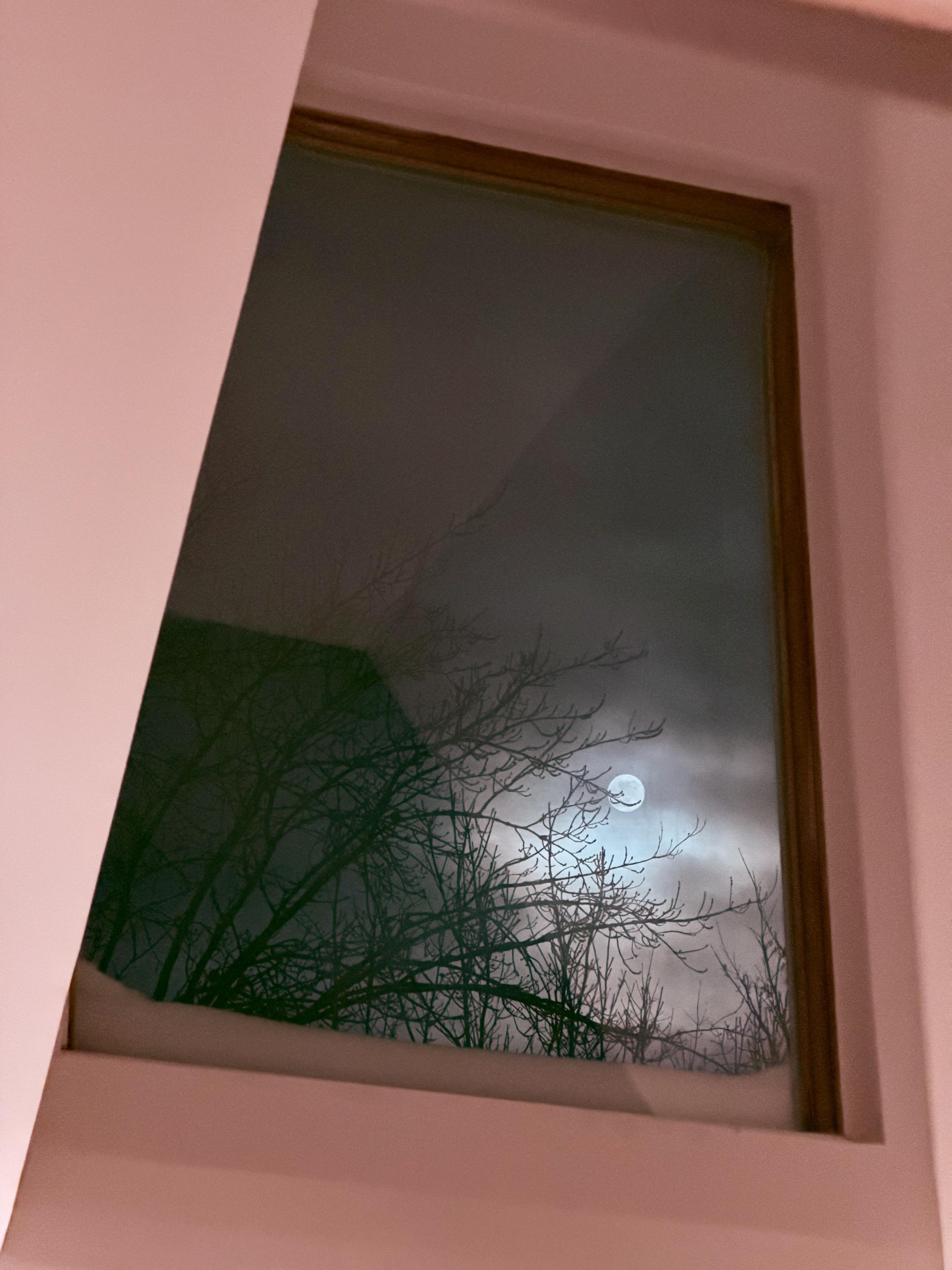 La lune à travers une fenêtre avec des arbres sans feuilles et des nuages.