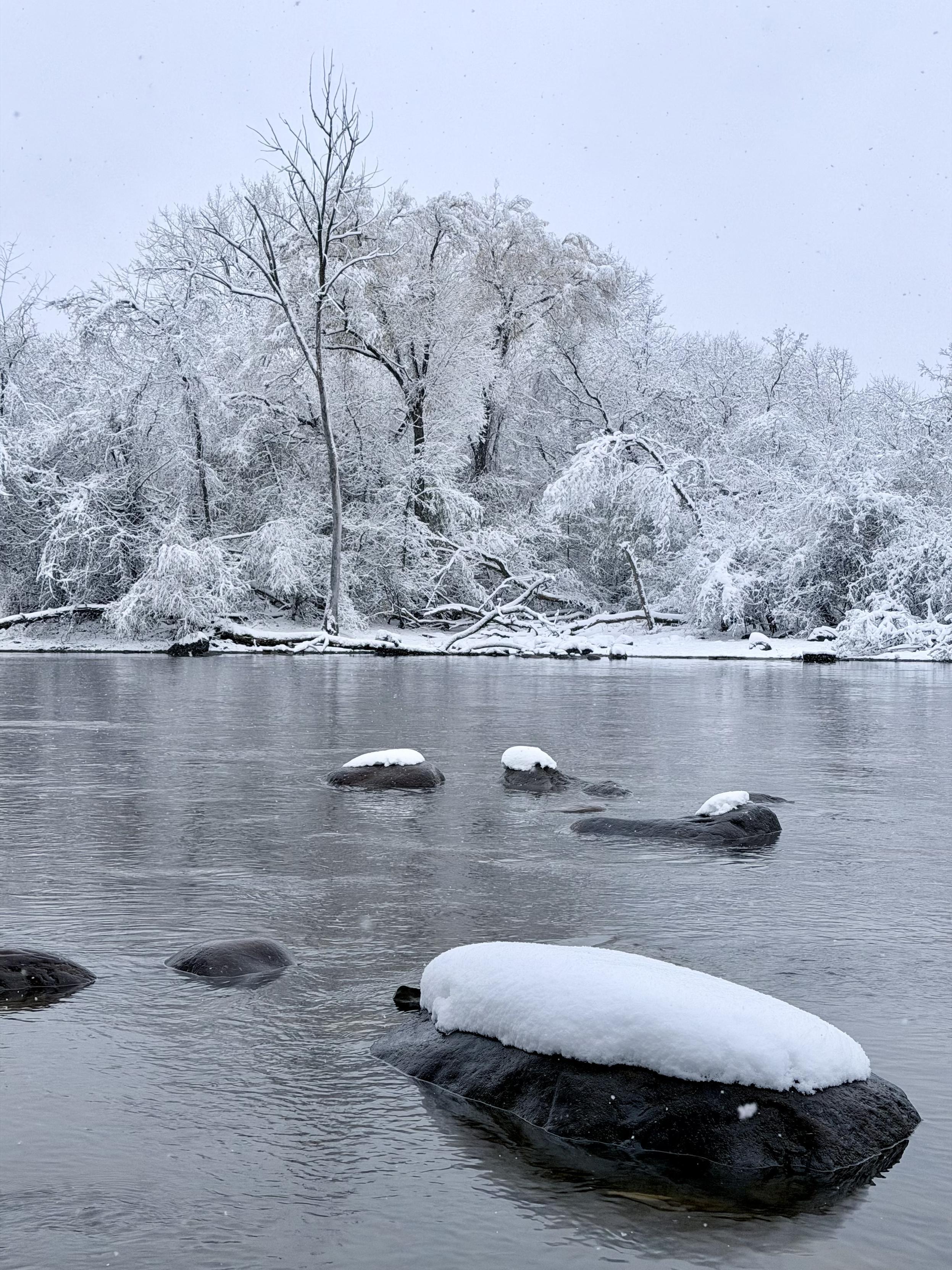 Un rocher enneigé au milieu de la rivière qui se détache du fond avec la forêt enneigée aussi.