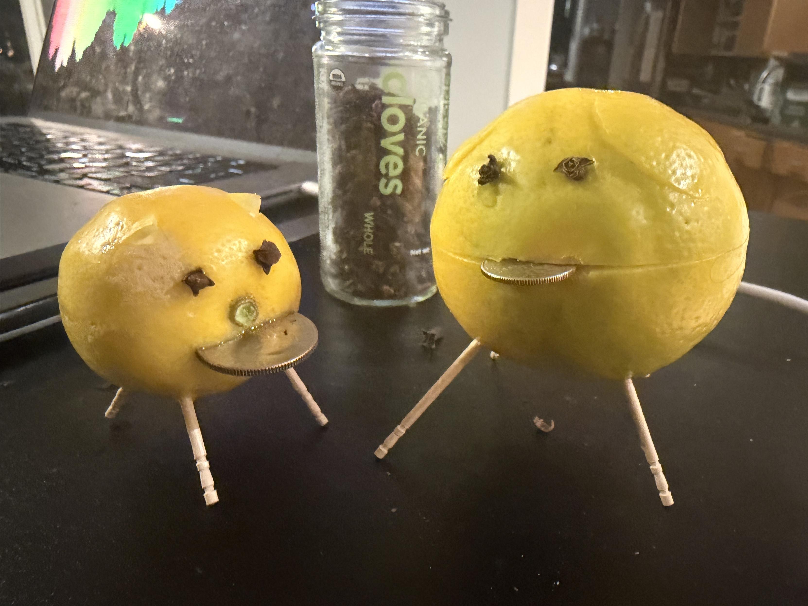 Two lemon pigs - a small one and a big one - lemons with toothpick feet and cloves for eyes and little ears and slit mouths with coins in them