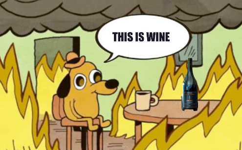 the “this is fine” dog saying “this is wine” with a wine bottle on the table