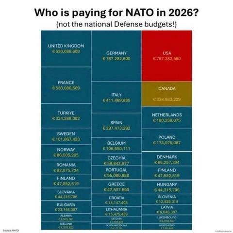 En tabel over beløb som landene i NATO, hver især bruger på NATO, udover deres nationale forsvarsbudgetter. 
| Land | Beløb (€) |
|--------|------------:|
| USA | 767.282.580 |
| Tyskland | 767.282.600 |
| Storbritannien | 530.086.609 |
| Frankrig | 530.086.609 |
| Italien | 411.469.885 |
| Canada | 338.983.229 |
| Tyrkiet | 324.388.082 |
| Spanien | 2…