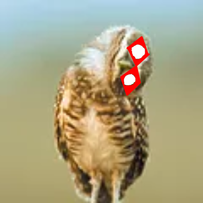 alcinnz alcinnz