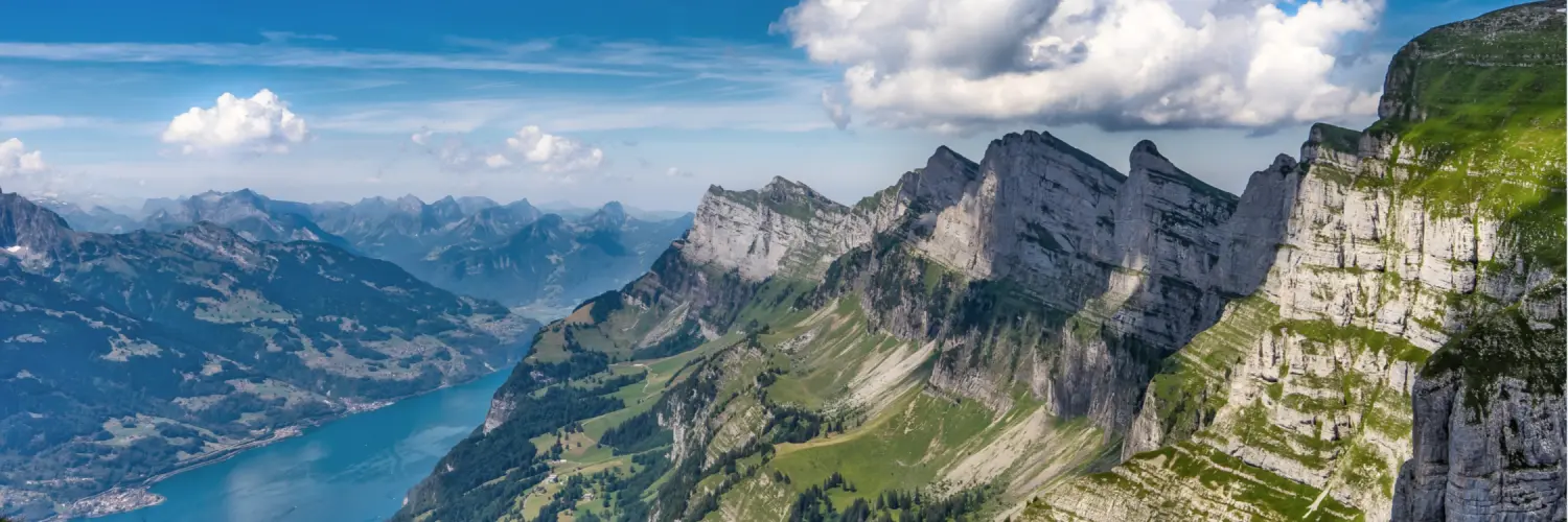 Header Image