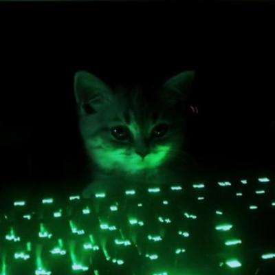 sk1d