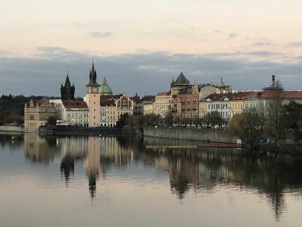 macdonst's profile header