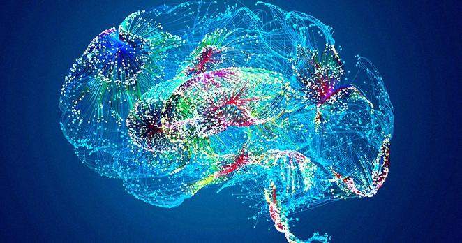 Doctors Horrified After Google's Healthcare AI Makes Up a Body Part That Does Not Exist in Humans - Doctors Horrified After Google's Healthcare AI Makes Up a Body Part That Does Not Exist in Humans