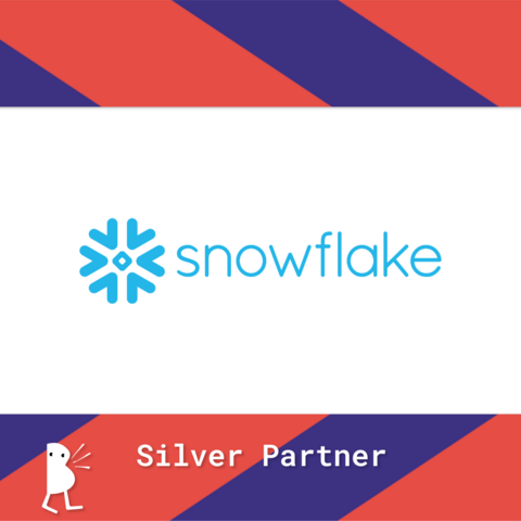Silver Partner - Snowflake
