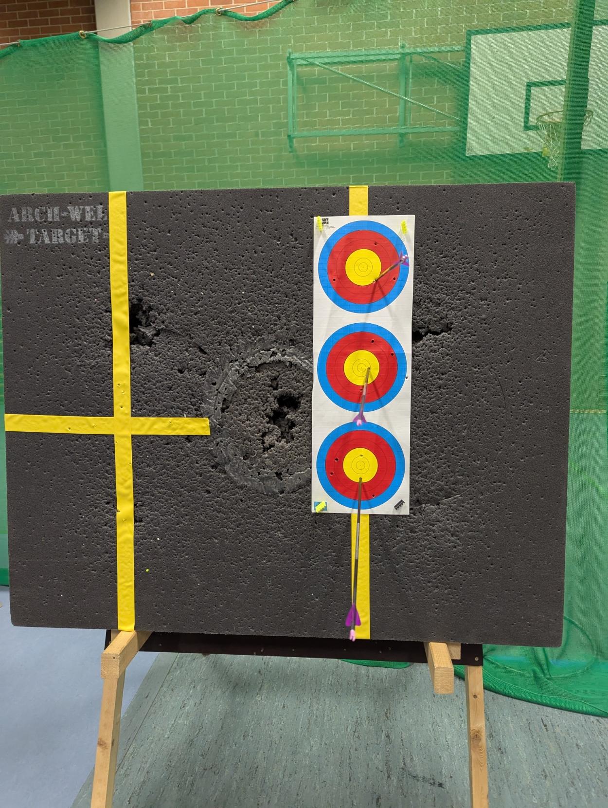 Apicture of a target that is penetrated by three arrows. They are black with violet vanes.