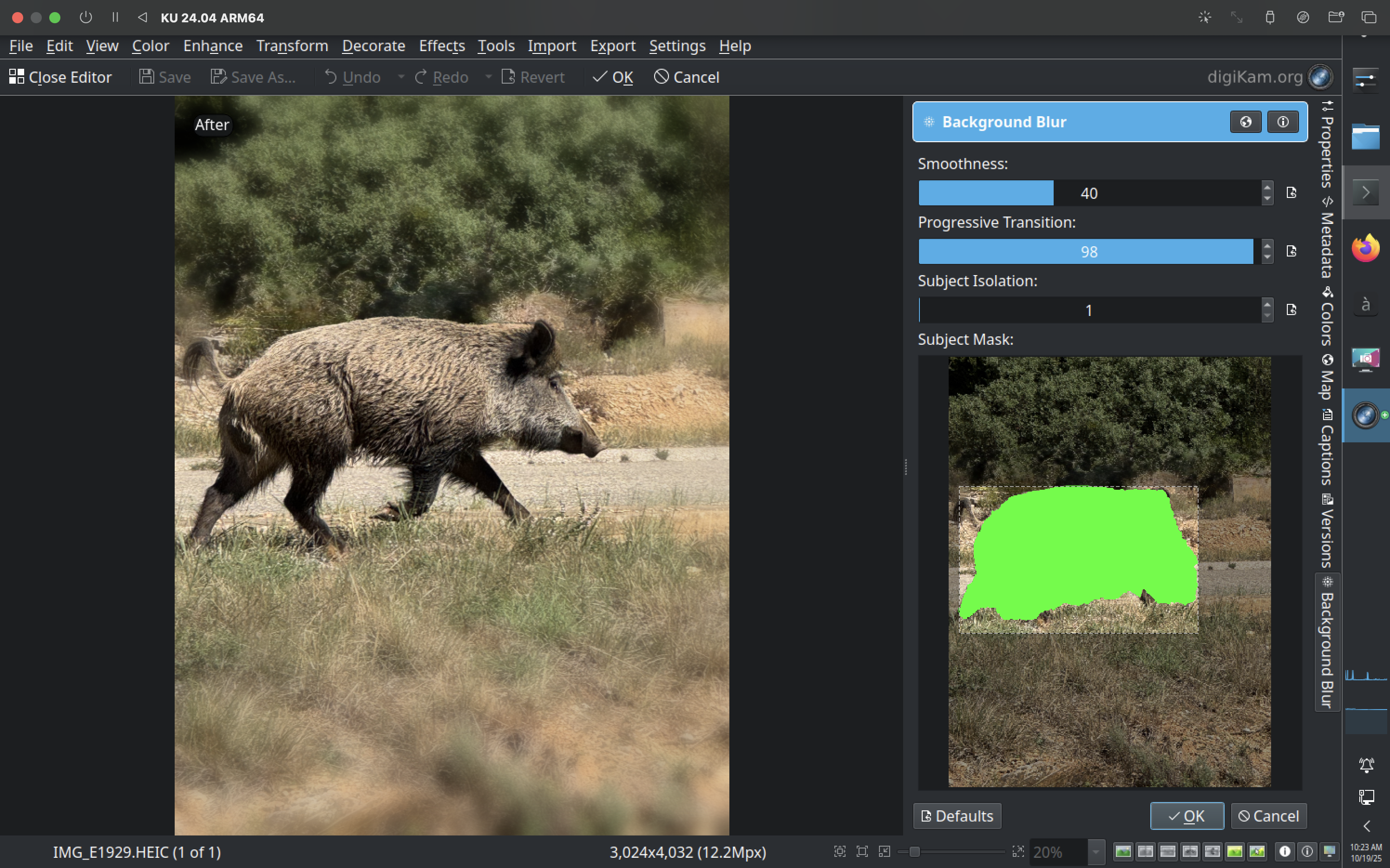 creenshot of the new editor enhancement showing a selected element (a boar) in a picture.