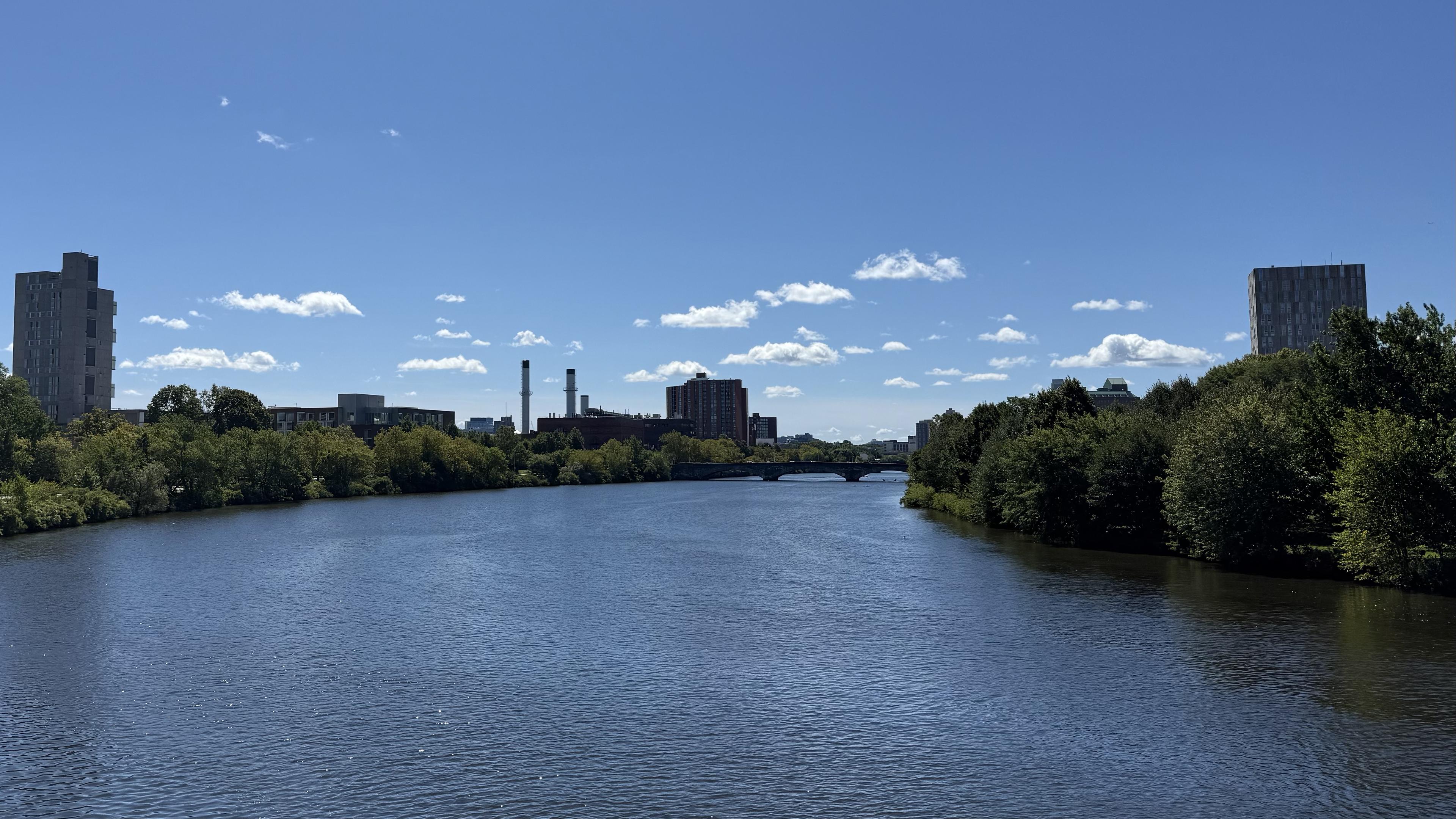 The Charles River is lined with green leafy trees, and is as blue as the sunny blue sky above it.