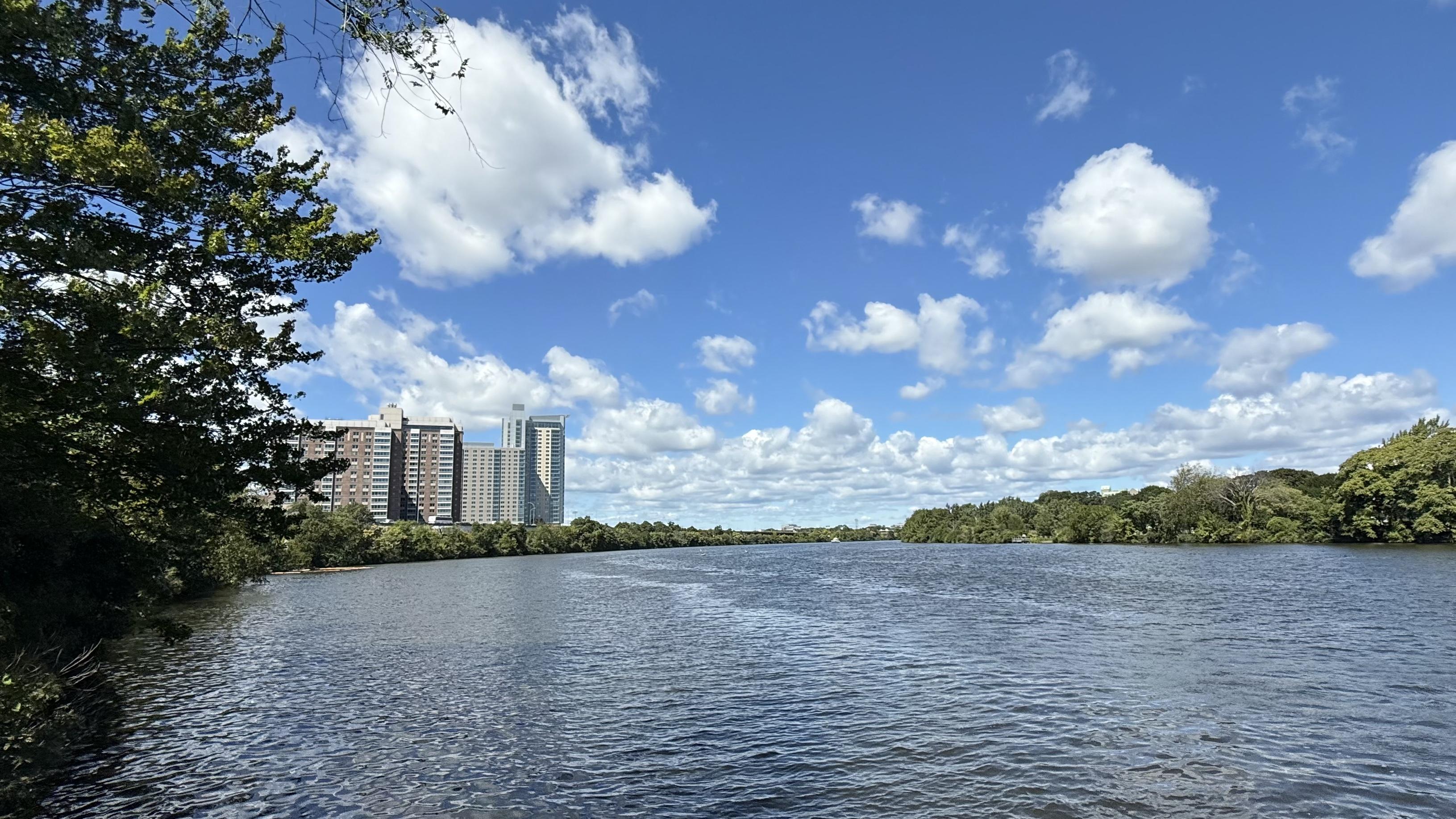 Photo of the Charles River under a blue sky filled with white puffy clouds. A green leafy tree is in the foreground on the left edge of the photo’s frame. In the distance, some buildings sit on the left edge of the river.