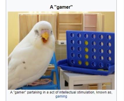 Screenshot of a digitally altered Wikipedia page, showing an photograph and its caption. The photograph is titled “A ‘gamer’,” and shows a white aongbird chirping while sitting next to a miniature Connect 4 game board. The caption beneath the photograph reads, “A ‘gamer’ partaking in a act of intellectual stimulation, known as, gaming”.