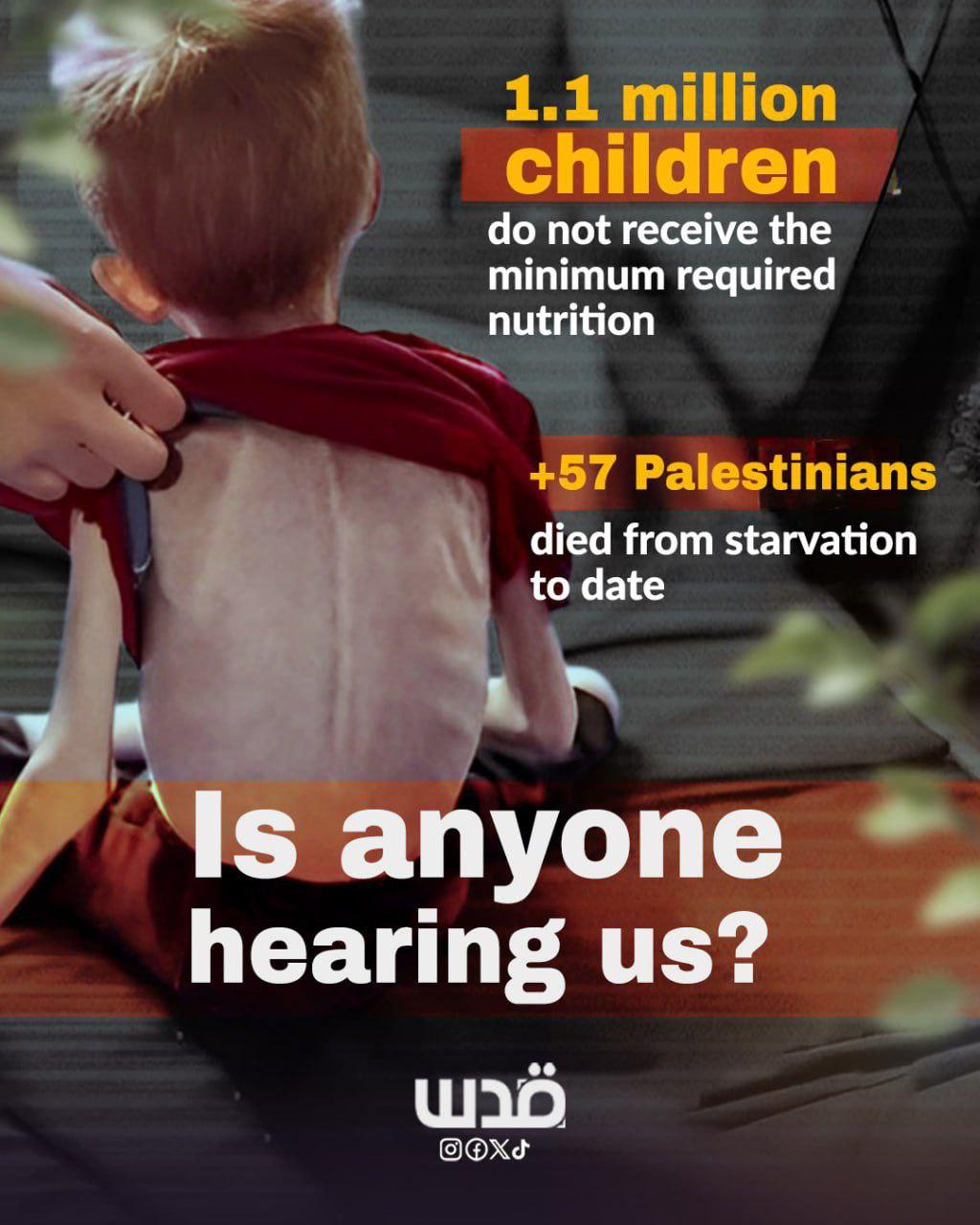 1.1 million children do not receive the minimum required nutrition (in Gaza) More than 57 Palestinians have died from starvation so far IS ANYONE HEARING US?