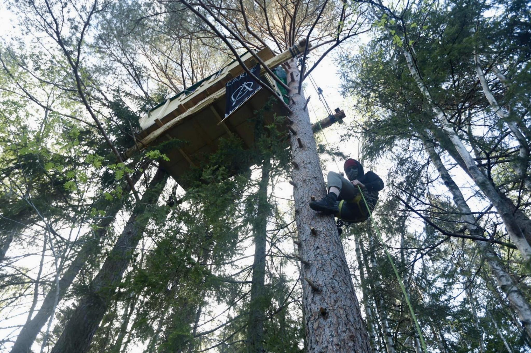 A photo taken from ground perspective, showing a pine forest with a tree cabin. From the cabin hangs an anarchist banner, with the text "carpe noctem". Hanging in a rope and climbing harness beside the cabin, is a masked person