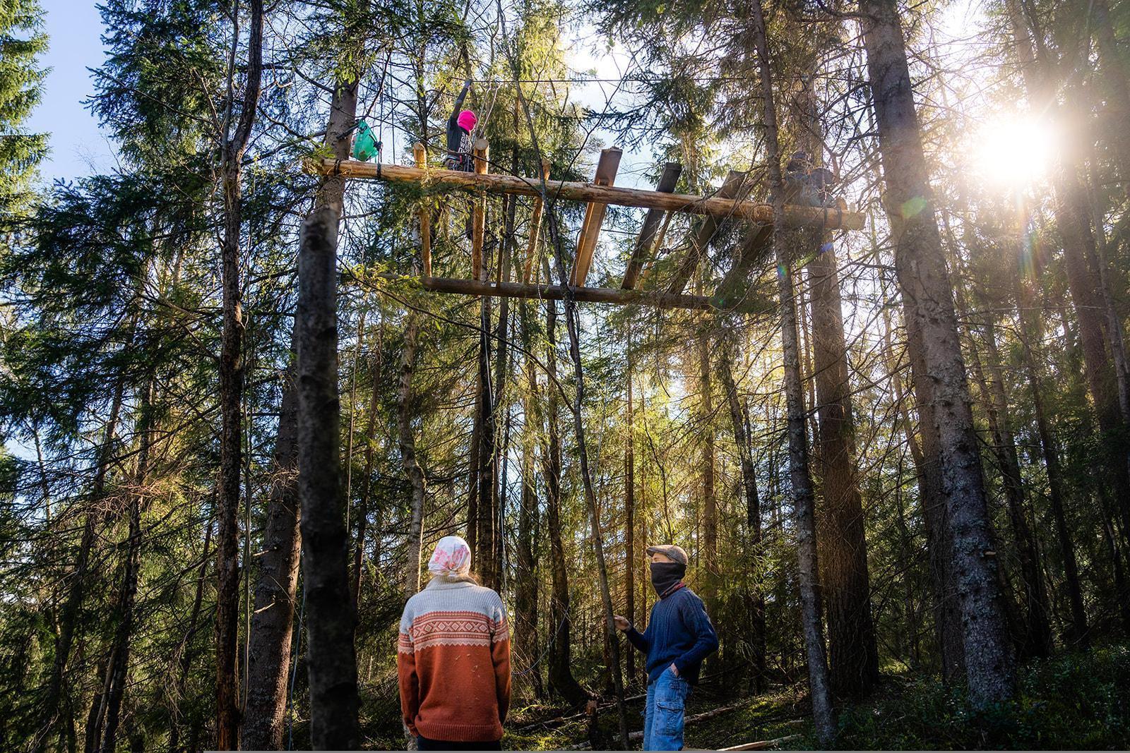 A pine forest. A frame platform is suspended between two trees. On the platform is a person wearing a pink mask. On the ground underneath the platform two masked people appear to be discussing something.
