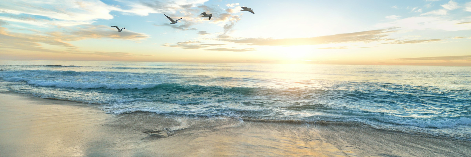 Header Image