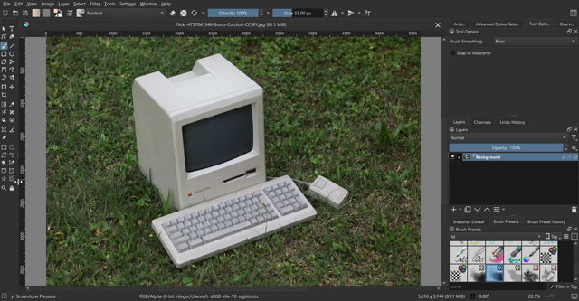 Demo of the object selection plugin for Krita, showcasing how to copy the selection onto a new layer to give it a transparent background.

https://github.com/Acly/krita-ai-tools