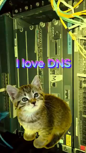 tiktok slop video starting off with a cat in front of a server rack with a high pitched "i love DNS it always works great for me" before switching to a pallet of network equipment "My network never goes down because I use static routing". It then goes on to show a flat earth "The earth is flat" before being interrupted by a network diagram "and so is my enormous OSPF LSDB". It shoots to US military "I turn off spanning tree because it is socialist". It transitions to another cat "/32 loopback everywhere and no hackers can touch me". It then shows a server rack "my ethernet cables are so good they're cat 67 that's 1.59 THz idiots". it then goes to a cut of a cat eating something off the floor "I only use half-duplex because that's the only way to have polite conversation". It then switches to gameplay "latency is a myth invented by gamers who refuse to accept personal responsibility". It then goes into the backrooms "PHYs cant hurt me if i don't know what they are" . It then goes on to say "VLANs are institutionalized discrimination we don't use them here". It goes to a video of someone packing boxes "Jumbo frames make packets heavier which is why i don't allow them over wifi" finally it ends with a witch "ipv6 is a witches spell and we don't do that here"