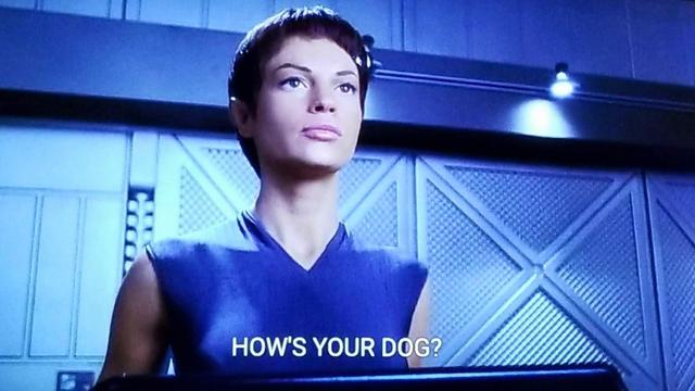 T'Pol from Enterprise is pictured. She's standing in a cargo bay, camera is looking up at her. She looks serious, as per usual. Closed caption reads, "How's your dog?"
(Also everything is very blue because I suck at taking TV screenshots)