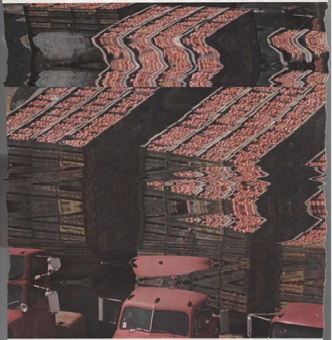 photo of trucks filled with tomatoes, wiggly from scanner fun