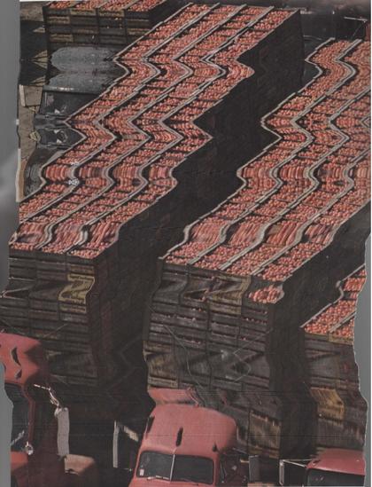 photo of trucks filled with tomatoes, wiggly from scanner fun