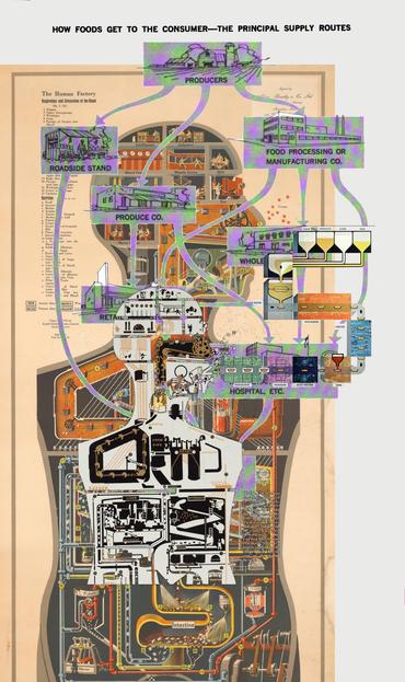 a messy digital collage that shows various industrial-style diagrams of food processes and images of the human body as a factory.