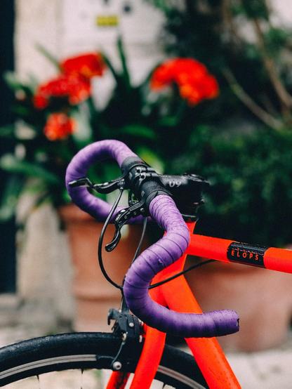 Close-up of a bright orange bicycle with purple handlebars, with blurred red flowers and green foliage in the background.