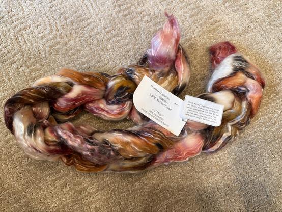 Original fiber braid for chambered nautilus. White with reds and browns and oranges