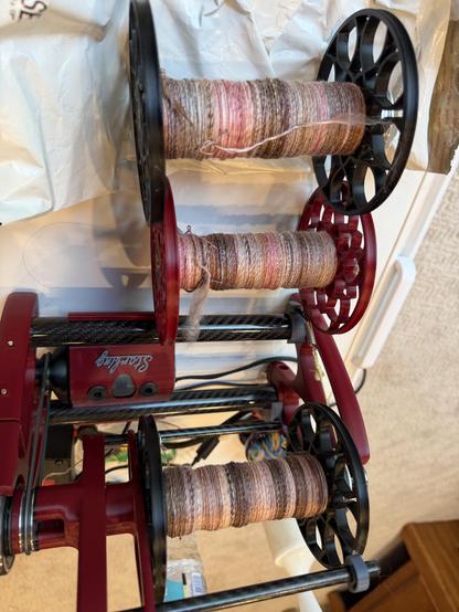 Chambered nautilus  spun into 3 singles in separate bobbins
