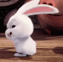 An animated white bunny twerks