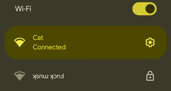 Screenshot of WiFi network. Connected to Cat and a nearby “fuck musk” upside down.