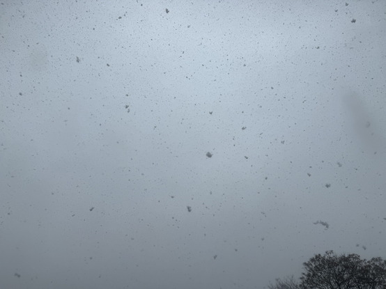A PHOTO OF A GREY SNOWING SKY