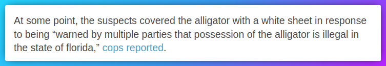 At some point, the suspects covered the alligator with a white sheet in response
to being “warned by multiple parties that possession of the alligator is illegal in
the state of florida,” cops reported.