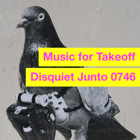 Pigeon with contraption attached, plus name and number of the project