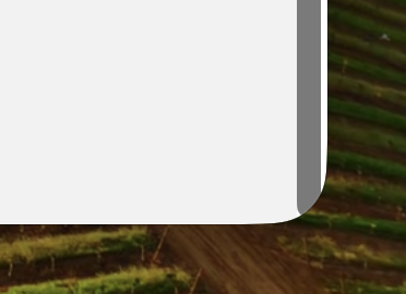 Screenshot of the bottom right corner of an Apple Safari window. The scrollbar is clipped by the border radius of the window edge.