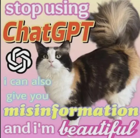 a cat with text over it that says "stop using ChatGPT. i can also give you misinformation and i'm *beautiful*"