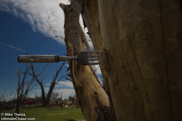 A fork... turned into a missile by the tornado embedded in a tree.