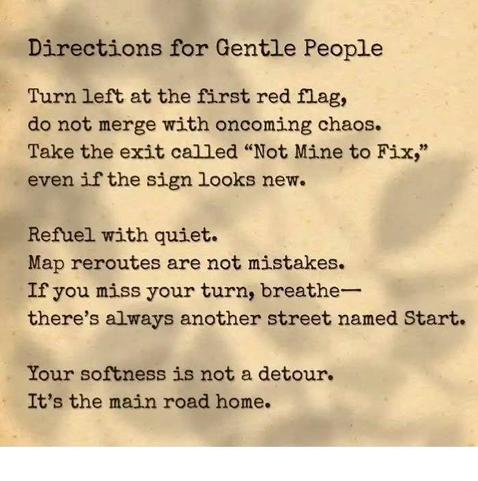 Directions for Gentle People
Turn left at the first red flag,

do not merge with oncoming chaos.
Take the exit called “Not Mine to Fix,”
even if the sign looks new.

Refuel with quiet.

Map reroutes are not mistakes.

If you miss your turn, breathe—
there’s always another street named Start.
Your softness is not a detour.

It’s the main road home.