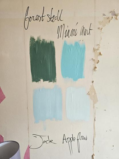 A photo of four rough squares of paint on a papered wall, all in different colours. They are labeled forest stroll, miami mint, jade, and apple flow.