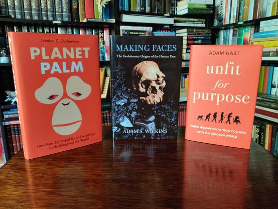 A photo of three books standing on a small, brown, wooden table. The out-of-focus background shows black shelves full of books.

On the left, Planet Palm, showing an orange hardback with an abstract colour illustration of an orangutan's face, its eyes made out of two palm oil fruits.

In the middle, Making Faces, showing a black hardback with a colour photo of a hominid skull lying on a bed of sharp black rocks (possibly basalt shards).

On the right, Unfit for Purpose, showing an orange hardback with a series of black silhouettes showing a variation on the classic march of progress meme. The last two human figures are of a walking man hunched over while holding a mobile phone, and a woman sitting on a chair hunched over while holding a mobile phone.